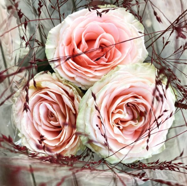 Vi fyller 7 år! Kalaspriser!