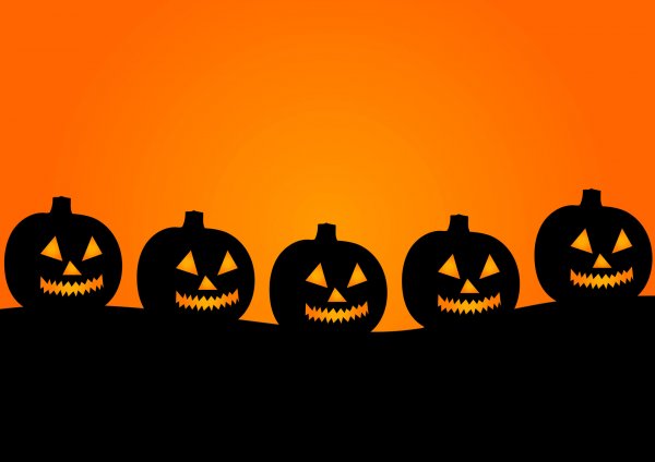 Halloween! Orange och svart toalettpapper till kanonpris!