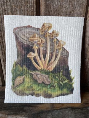 disktrasa med motiv av skivlingar svampar